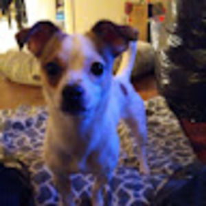 Meet your Posher, Drew